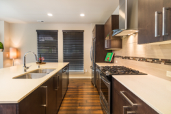 Kitchen View 1 DSC03879-HDR-Edit